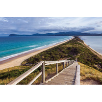 Hema Tasmania State Map (4th Edition)